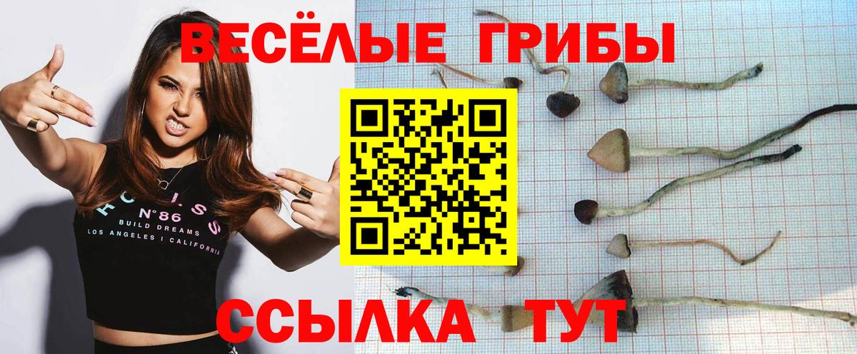 Галлюциногенные грибы Magic Shrooms Асбест